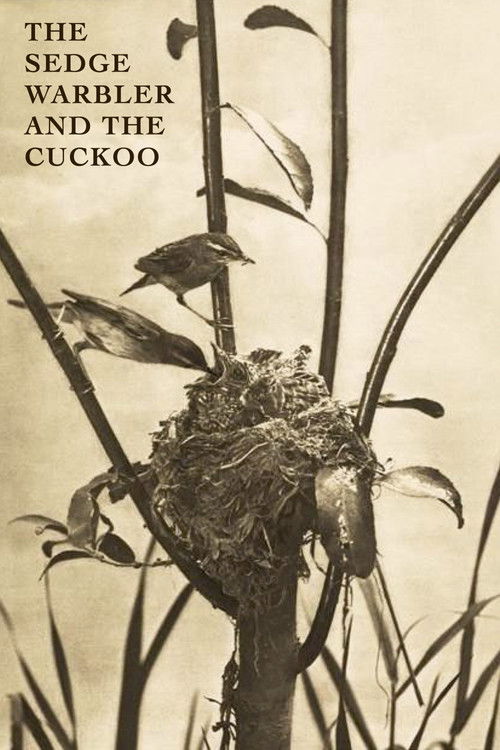 The Sedge Warbler and the Cuckoo (1911) poster