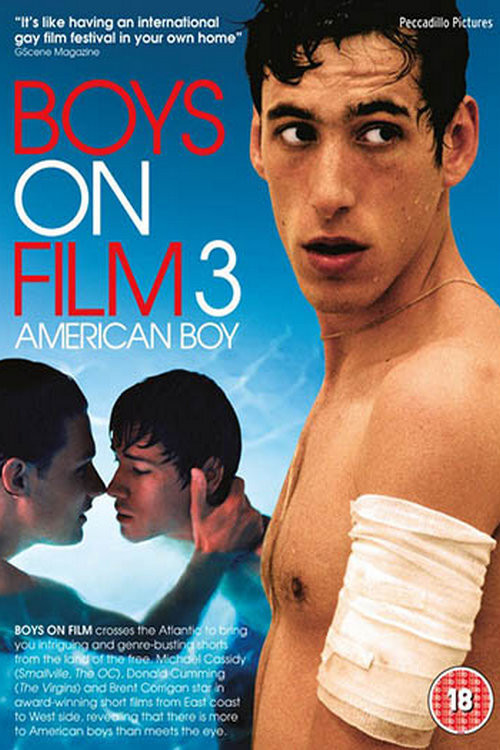 Boys On Film 3: American Boy (2009) poster