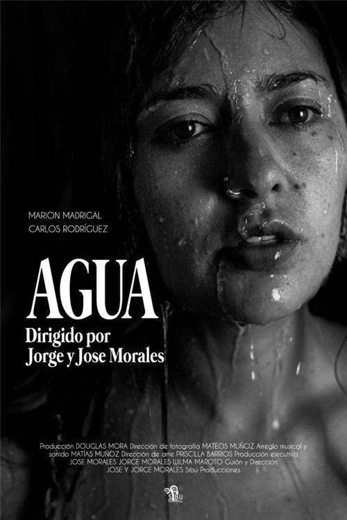 Agua (2017) poster