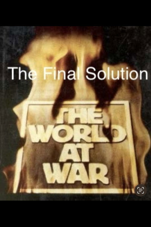 The Final Solution (1975) poster
