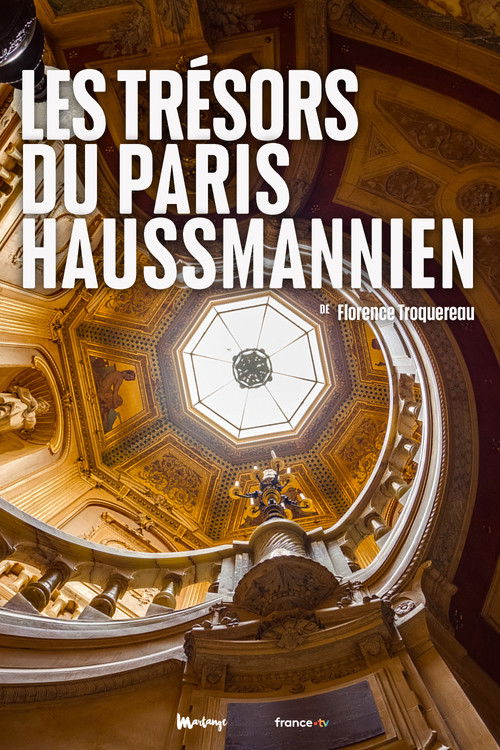 Les Trésors du Paris haussmannien (2022) poster
