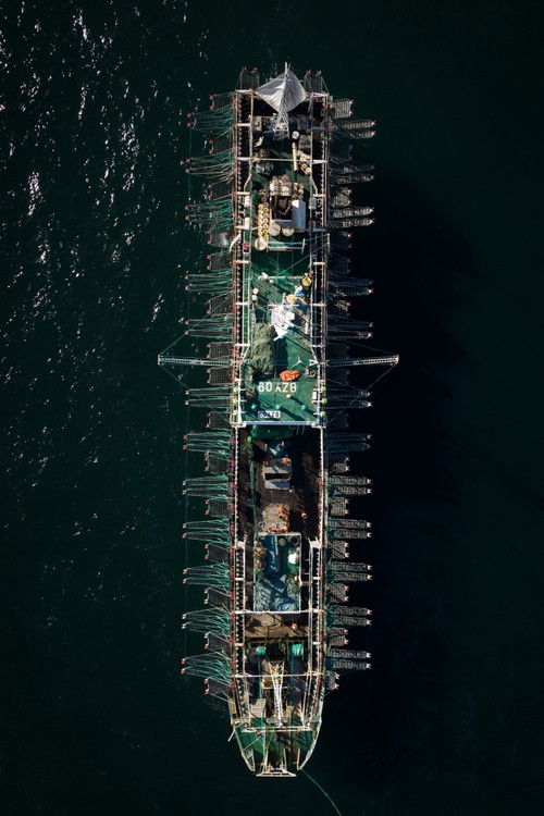 Squid Fleet (2023) poster