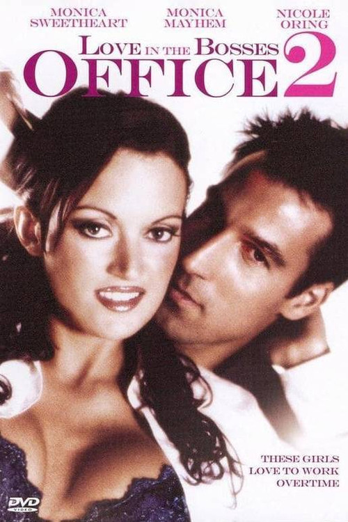 Love in the Bosses Office 2 (2007) poster