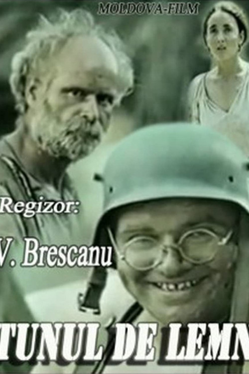 The Wooden Cannon (1987) poster