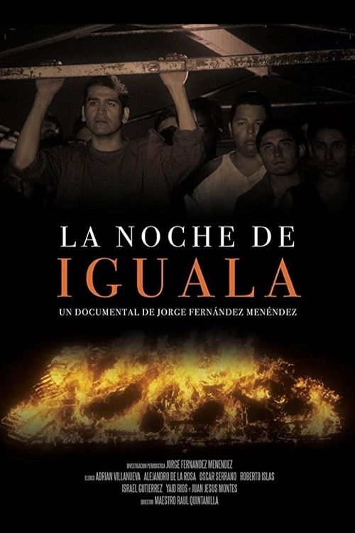 La noche de Iguala (2015) poster