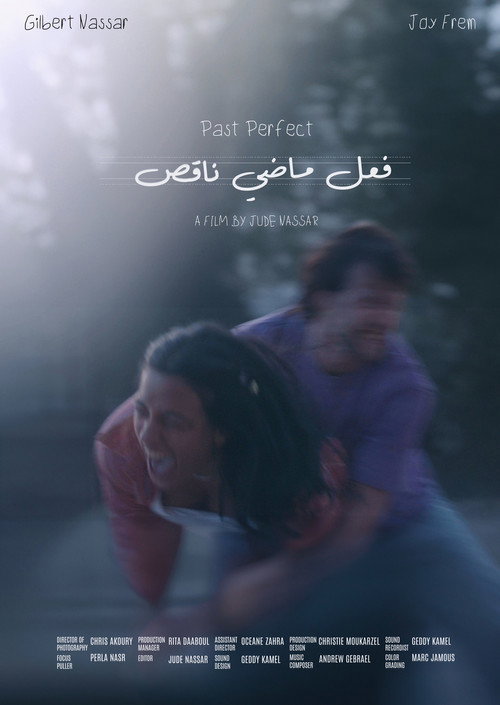 Past Perfect (2024) poster