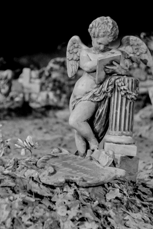 Life is Beautiful (1958) poster