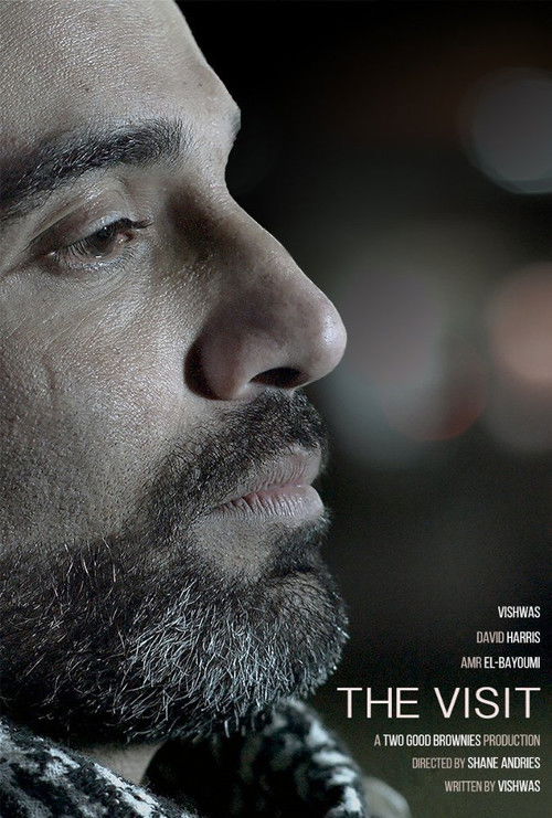 The Visit (2015) poster