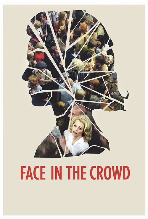 Face in the Crowd (2013) poster