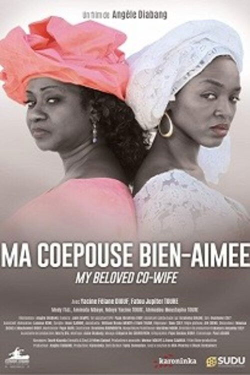 Ma Coépouse Bien-Aimée (2018) poster