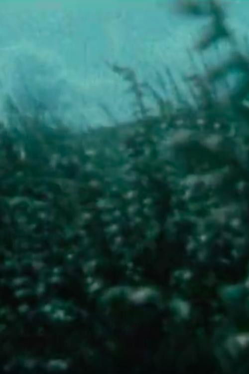 Nature Trail (1993) poster