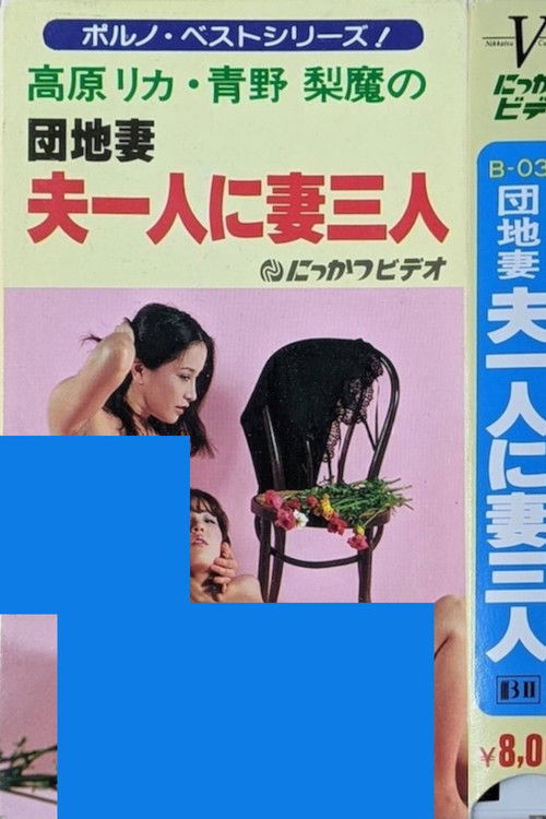 Apartment Wife: One Husband, Three Wives (1981) poster