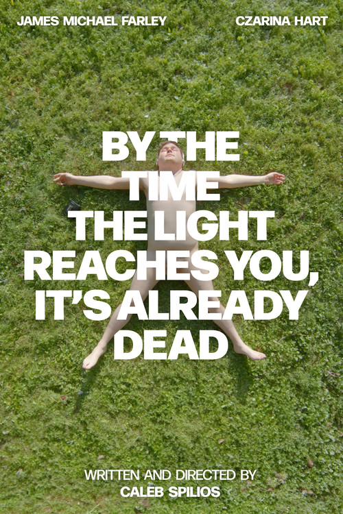By the Time the Light Reaches You, It’s Already Dead (2025) poster