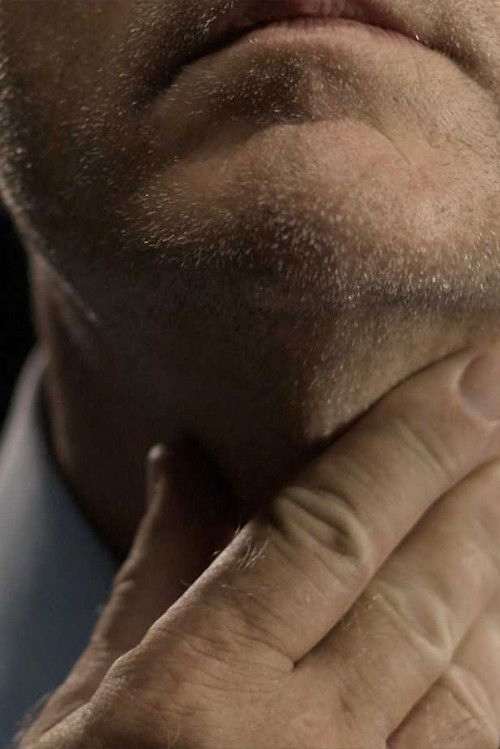 The Financial Crisis (Session I-IV) (2009) poster