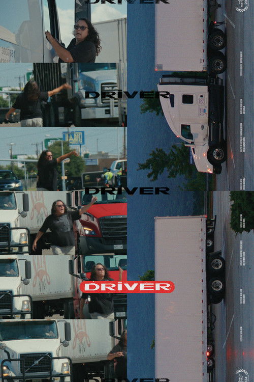 DRIVER (2024) poster