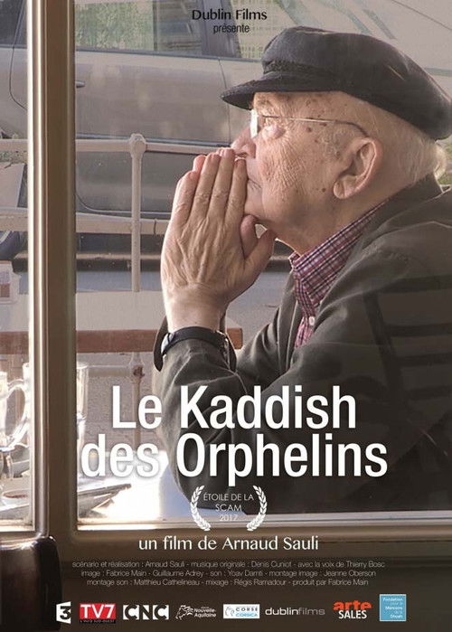 The Orphan’s Kaddish (2016) poster