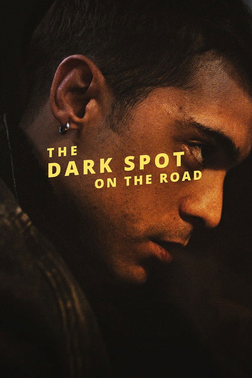 The Dark Spot on the Road (2022) poster