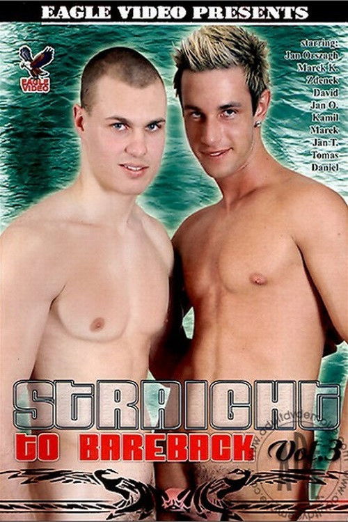 Straight to Bareback 3 (2006) poster