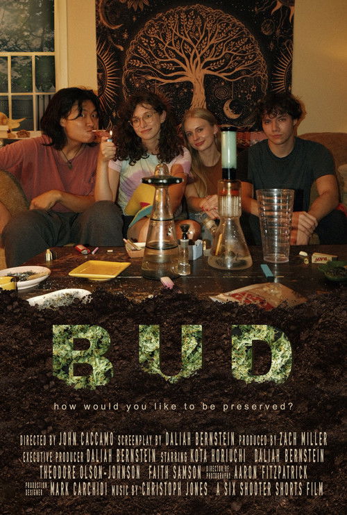 BUD (2025) poster