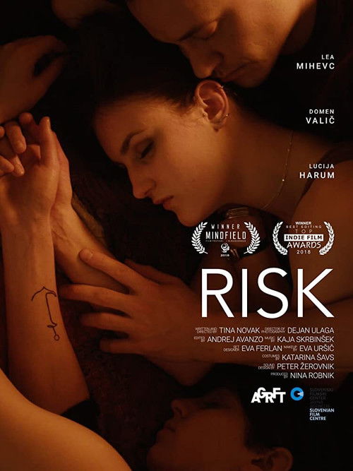 Risk (2018) poster