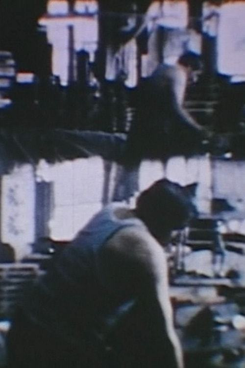 Opus 40 (1979) poster