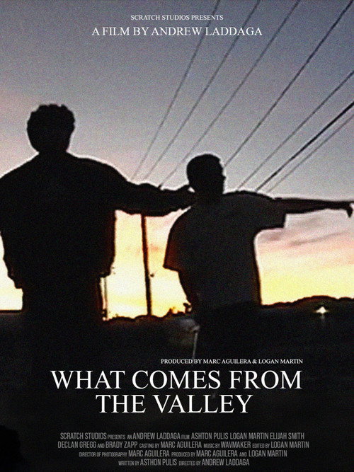 What Comes From the Valley (2026) poster