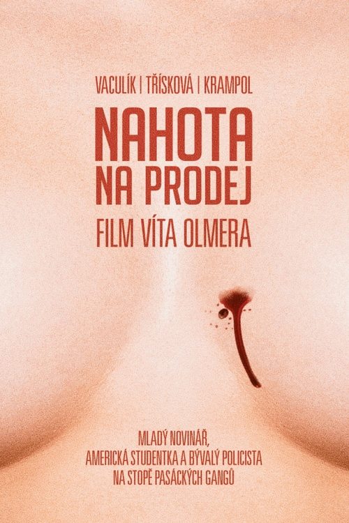 Nudity For Sale (1993) poster