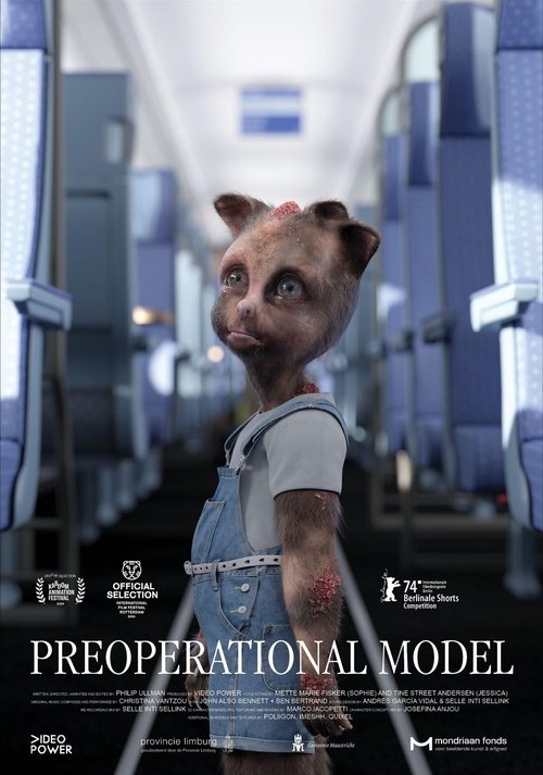 Preoperational Model (2024) poster