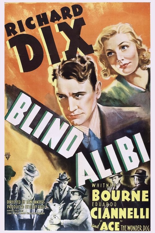 Blind Alibi (1938) poster