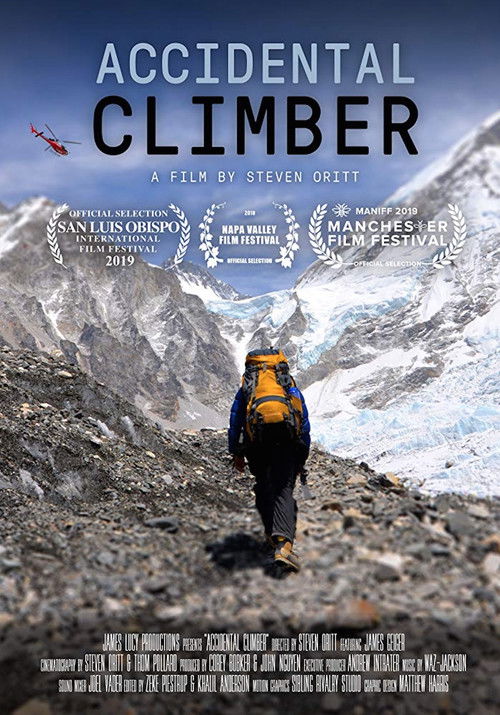 Accidental Climber (2019) poster