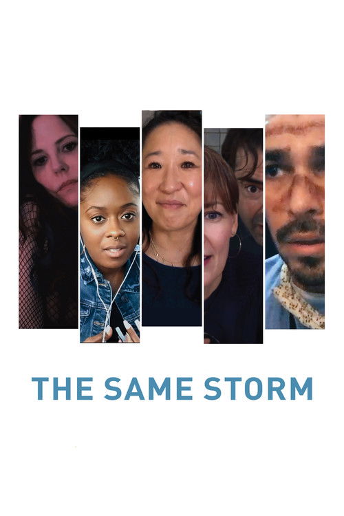 The Same Storm (2022) poster