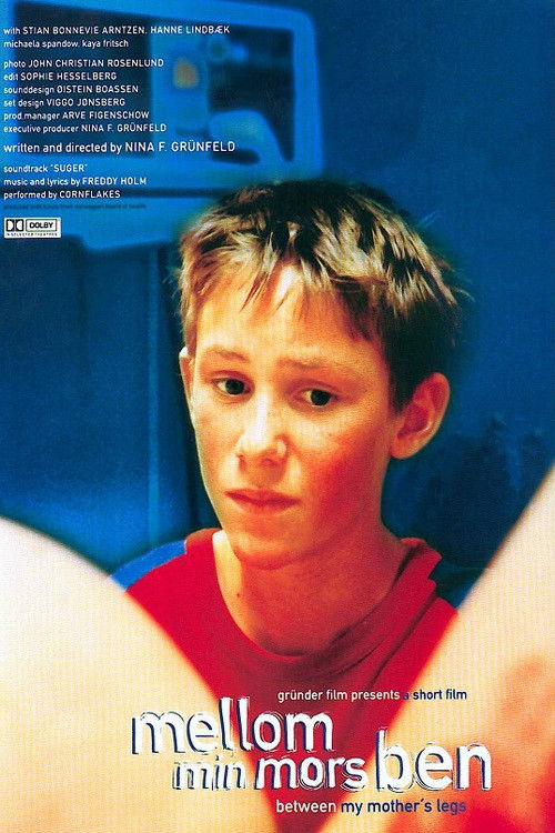 Mellom Min Mors Ben (1999) poster