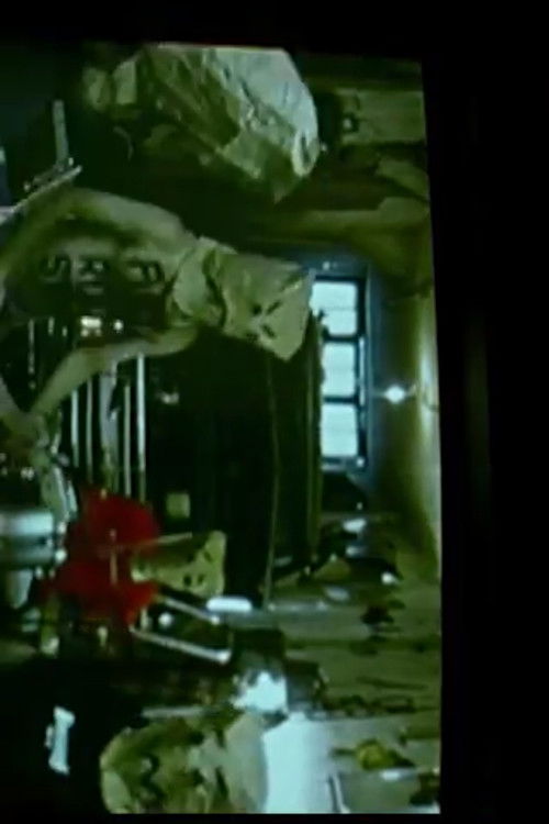 Pizzaman (2001) poster