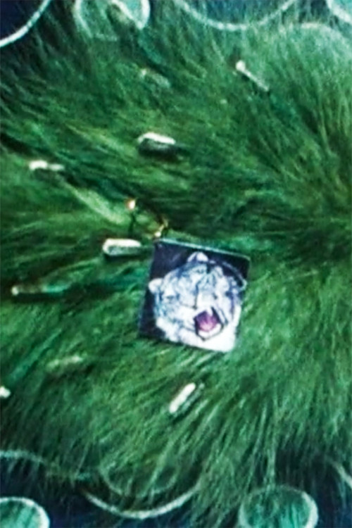 Feather-Arrangement (1984) poster