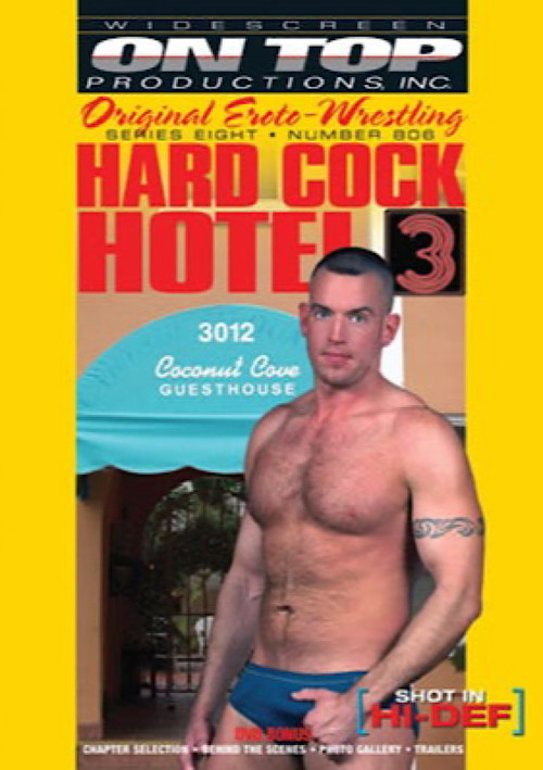 Hard Cock Hotel 3 (2008) poster