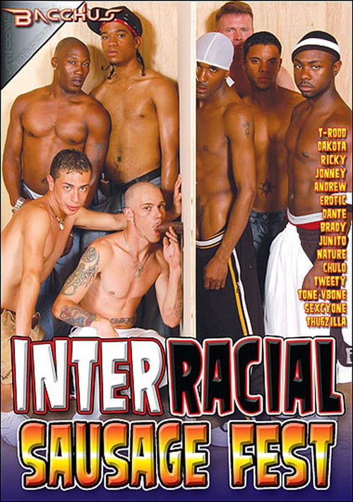 Interracial Sausage Fest 1 (2011) poster