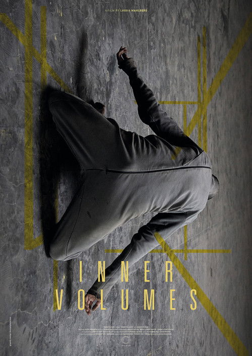 Inner Volumes (2019) poster