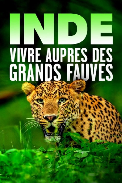 Inde - Vivre auprès des grands fauves (2021) poster