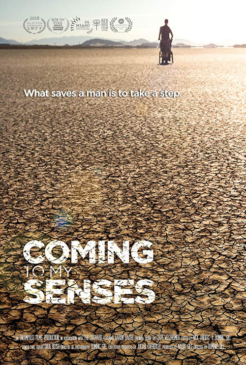 Coming To My Senses (2017) poster