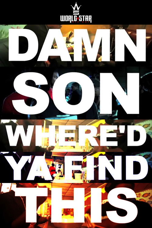 Damn Son Where'd You Find This? (2013) poster