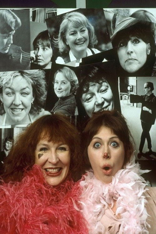 Kvinnofest 1981 (1981) poster