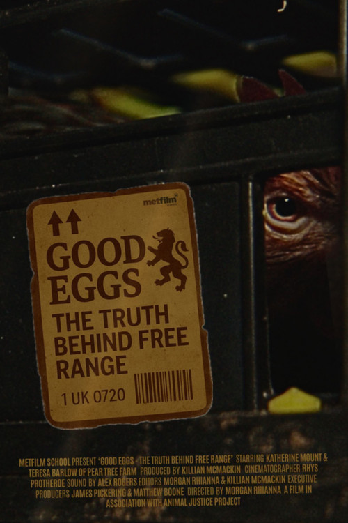 Good Eggs (2025) poster