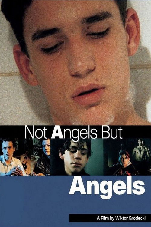 Not Angels But Angels (1994) poster