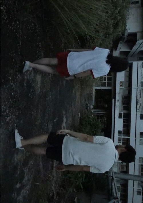 20 Scenes of June (2012) poster