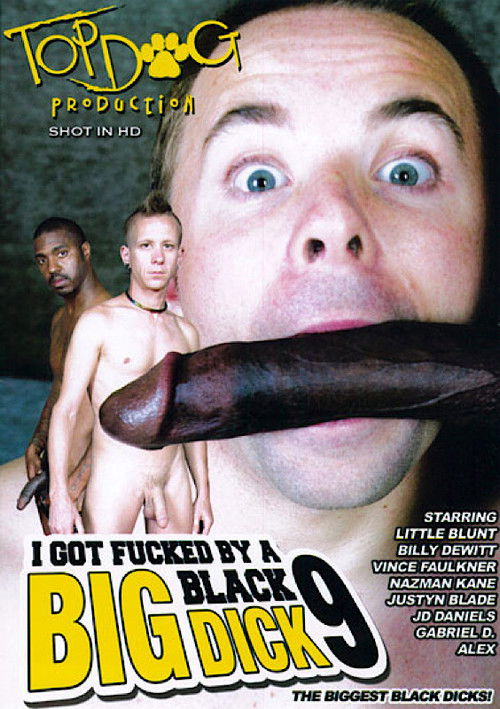 I Got Fucked by a Big Black Dick 9 (2012) poster