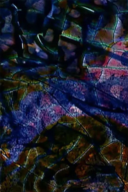 Neti Neti (Part III) (2010) poster