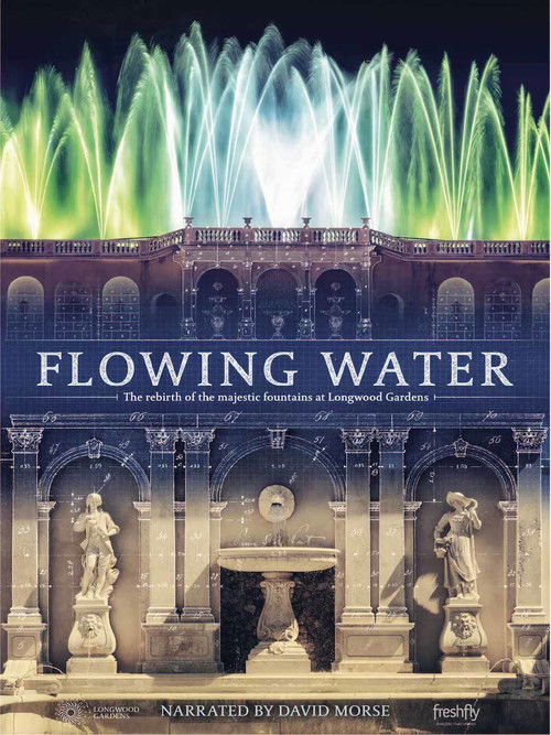 Flowing Water (2017) poster