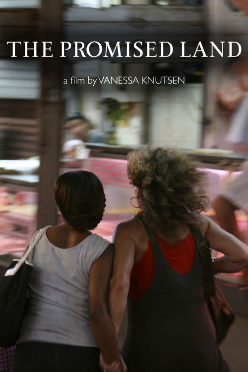 The Promised Land (2011) poster