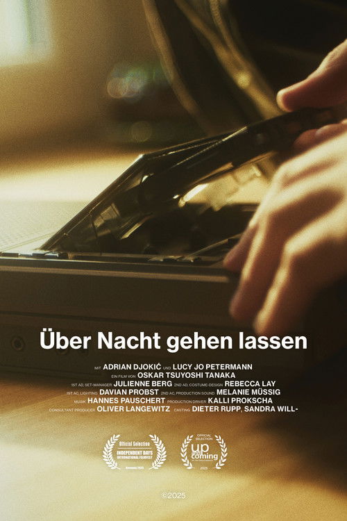 Über Nacht gehen lassen (2025) poster