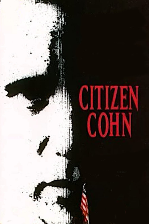 Vatandaş Cohn (1992) poster